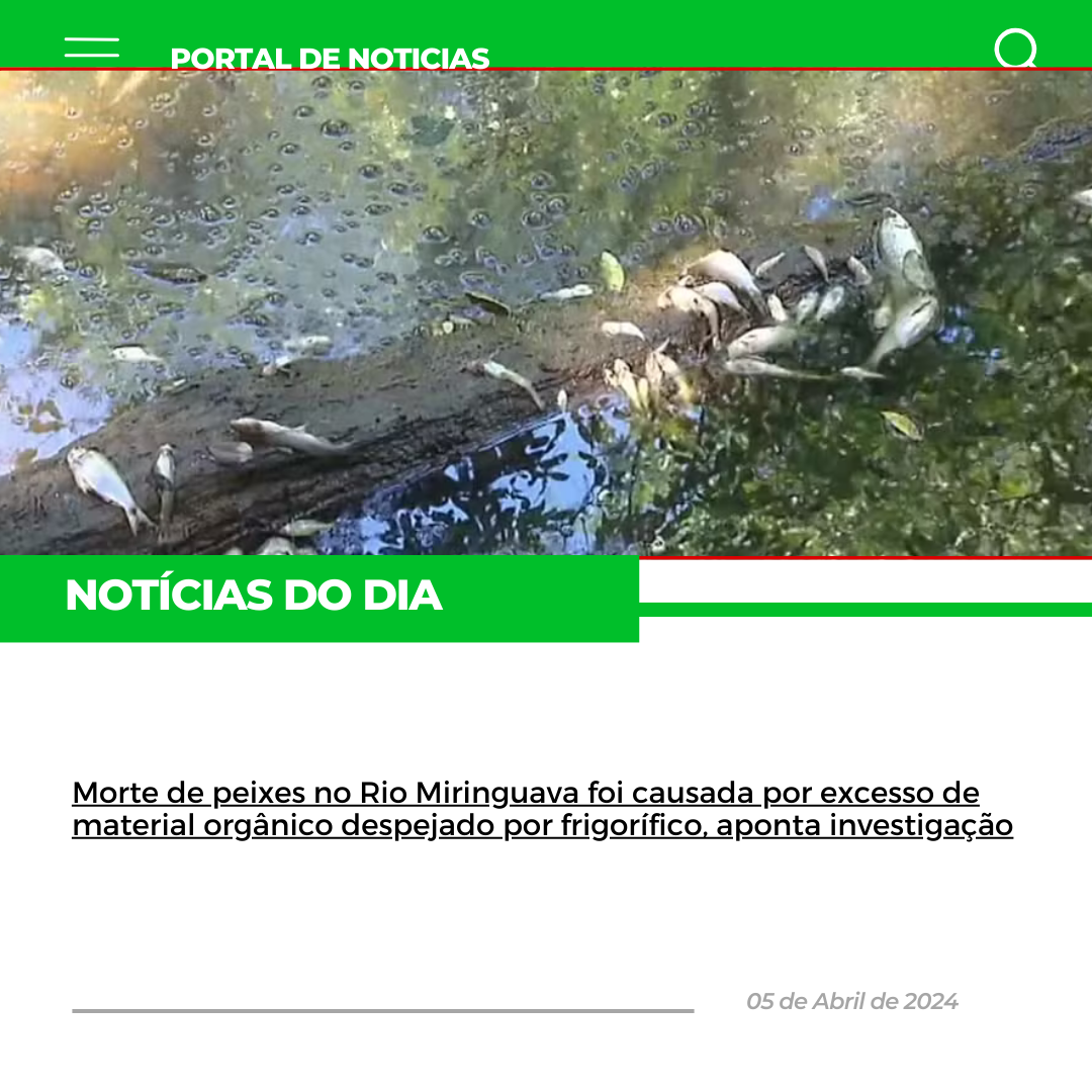 Morte de peixes no Rio Miringuava foi causada por excesso de material orgânico despejado por frigorífico, aponta investigação