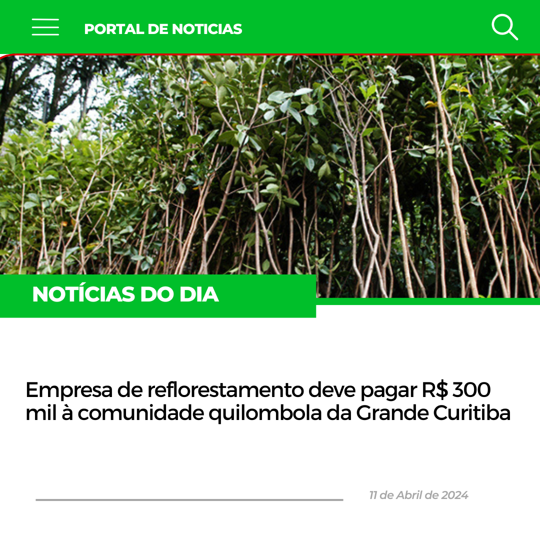 Empresa de reflorestamento deve pagar R$ 300 mil à comunidade quilombola da Grande Curitiba